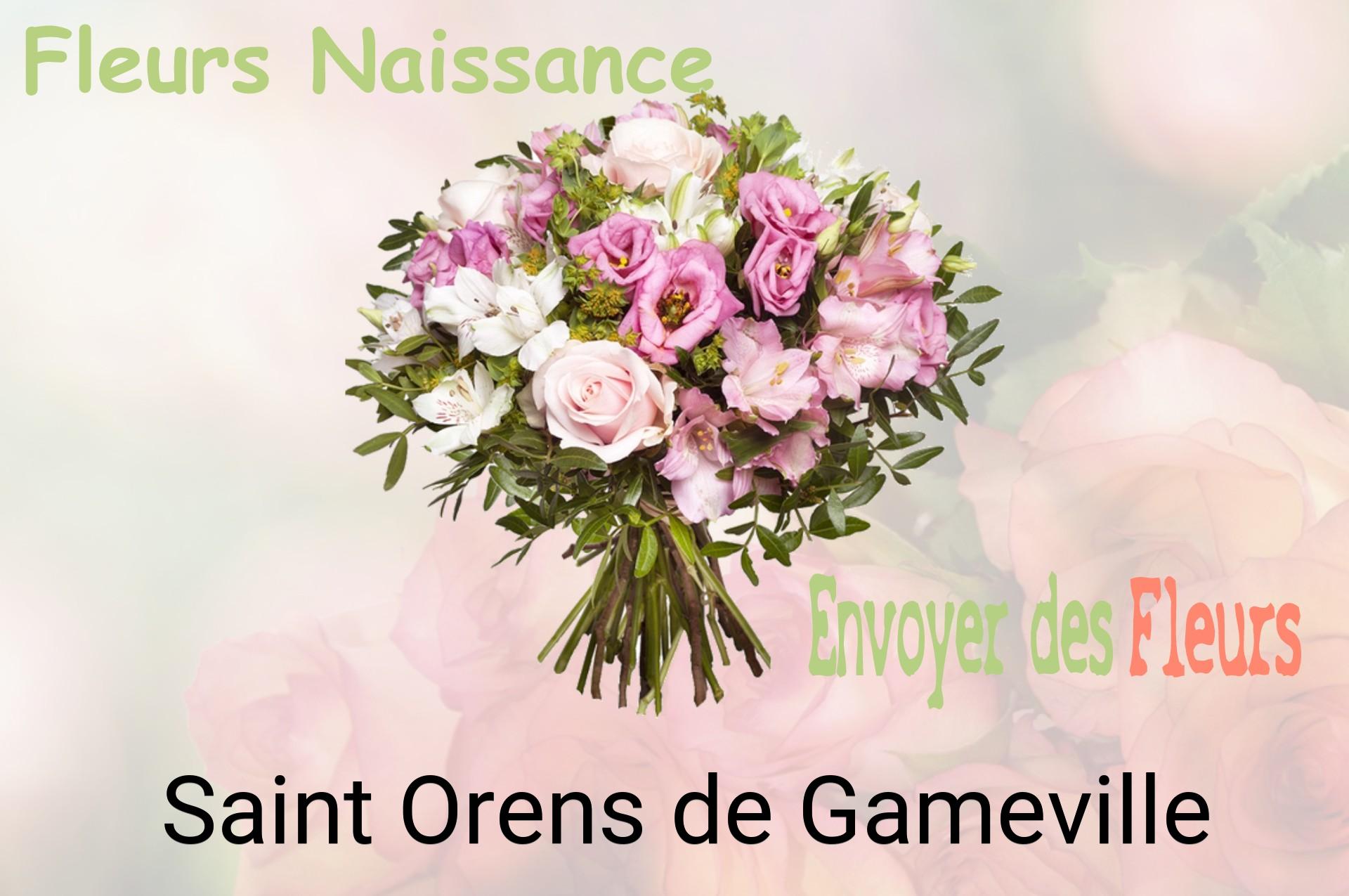 Bouquet de fleurs de naissance livré à Saint-Orens-de-Gameville