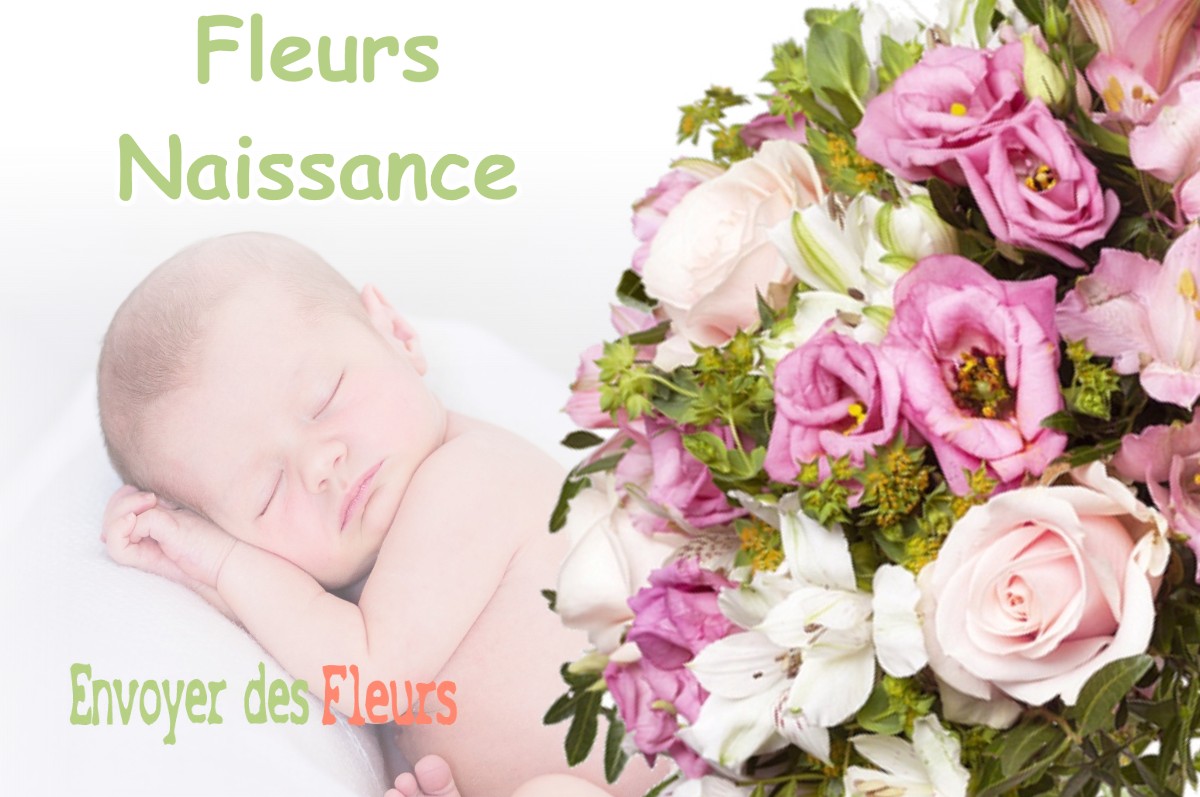 lIVRAISON FLEURS NAISSANCE à SAINT-ORENS-DE-GAMEVILLE