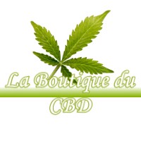 LA BOUTIQUE DU CBD SAINT-ORENS-DE-GAMEVILLE 